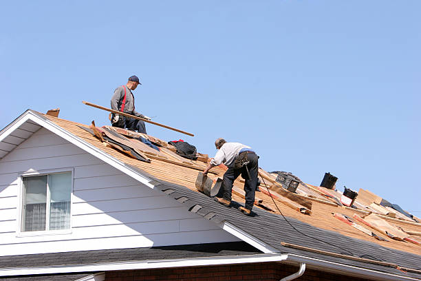 Best Roof Maintenance and Cleaning  in Allendale, CA